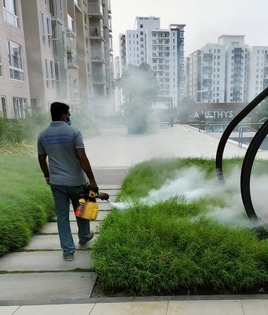 PEST CONTROL IN CHENNAI