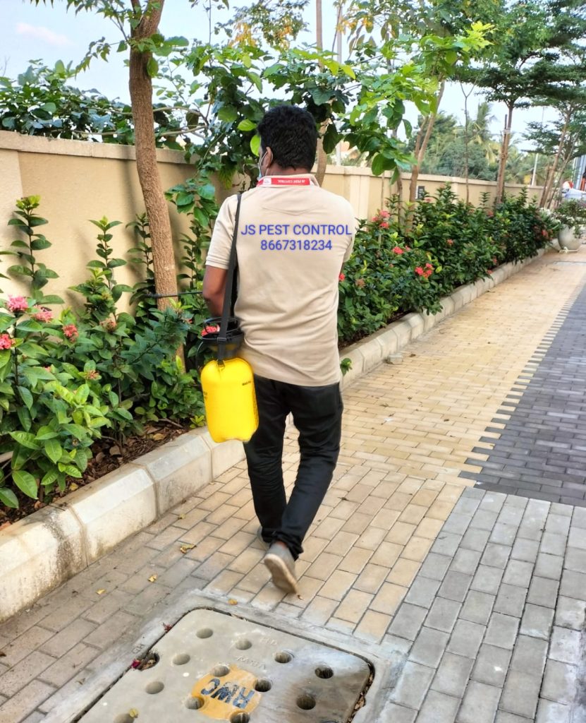 PEST CONTROL IN CHENNAI