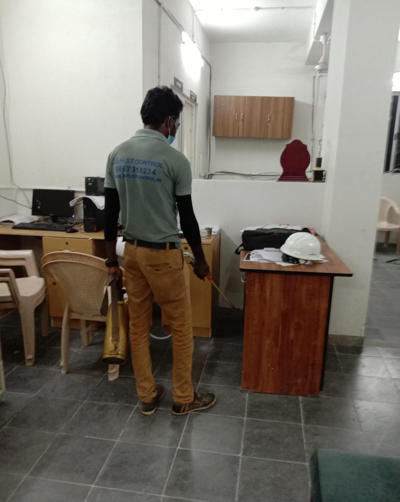 PEST CONTROL IN CHENNAI