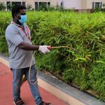 PEST CONTROL IN CHENNAI