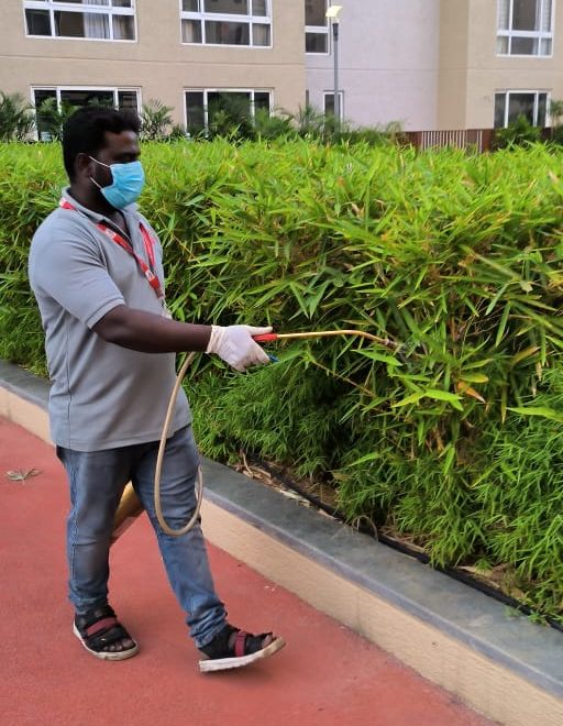 PEST CONTROL IN CHENNAI