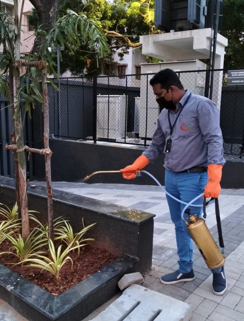 JS PEST CONTROL IN CHENNAI