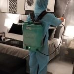 PEST CONTROL IN HOTEL ROOM