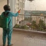 HONEY BEE CONTROL IN CHENNAI