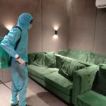 PEST CONTROL IN OFFICE