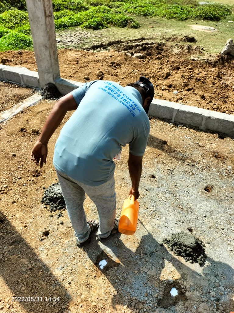 PEST CONTROL IN CHENNAI