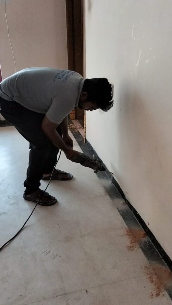 TERMITE CONTROL IN CHENNAI
