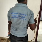 JS PEST CONTROL IN CHENNAI