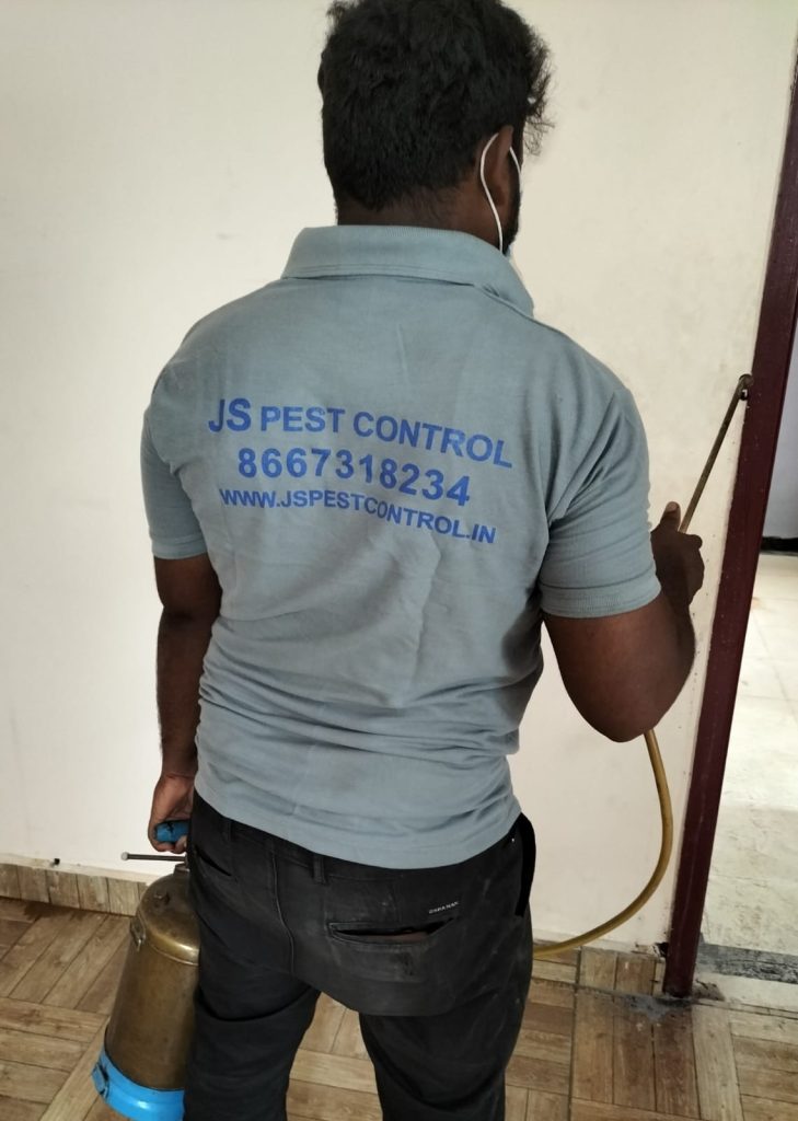 JS PEST CONTROL IN CHENNAI