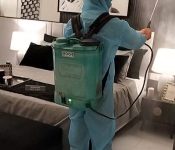 PEST CONTROL IN HOTEL ROOM