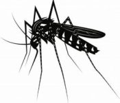 MOSQUITO CONTROL IN CHENNAI